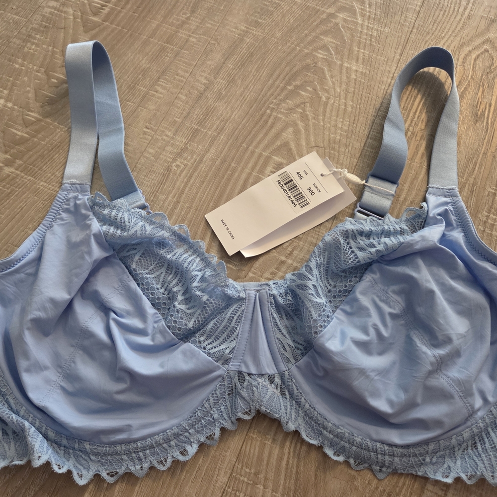 HSIA Sky Blue Lace Bra-NWT 40G